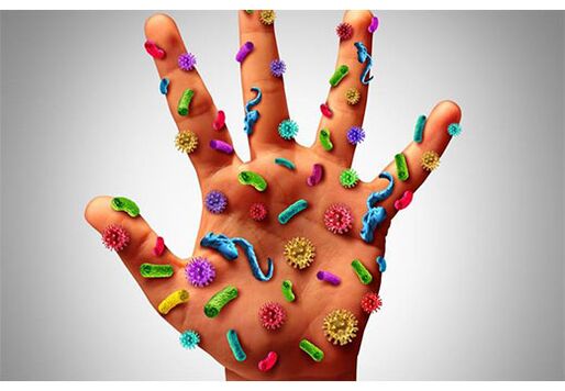The foci of the human papilloma virus are located on the hands