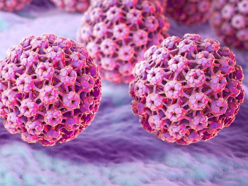 papilloma virus classification